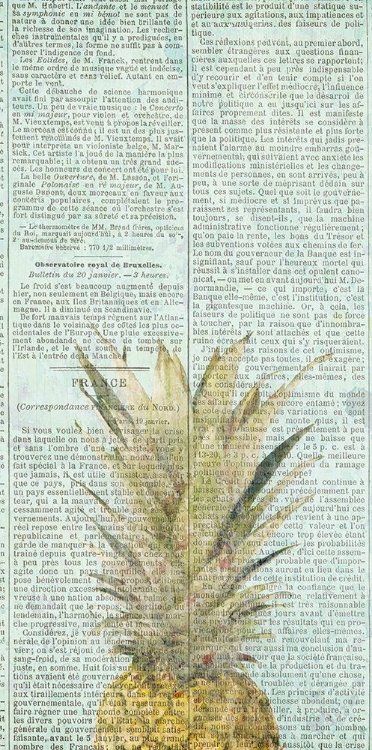 Picture of NEWSPAPER PINEAPPLE