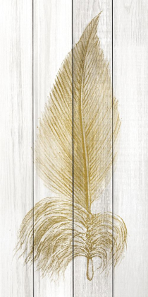 Picture of FEATHER OF GOLD 2