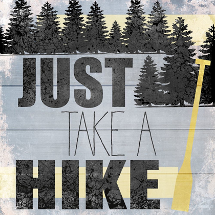 Picture of JUST TAKE A HIKE