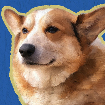 Picture of CORGI 2