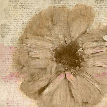 Picture of NEWSPAPER FLORAL 1