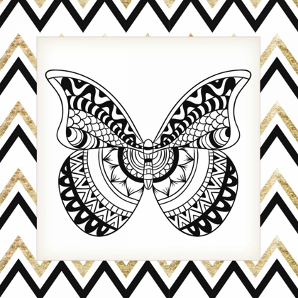 Picture of ZIG ZAG BUTTERFLY 1