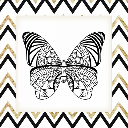 Picture of ZIG ZAG BUTTERFLY 3