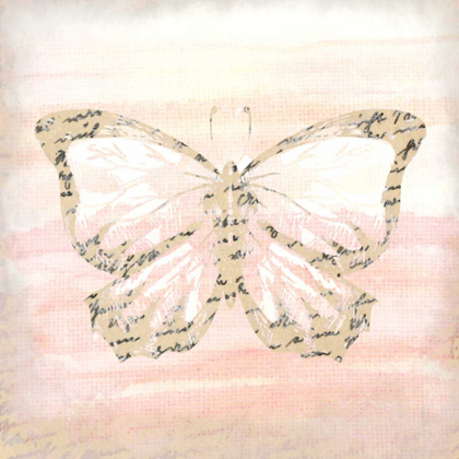 Picture of BUTTERFLY SCRIPT 4