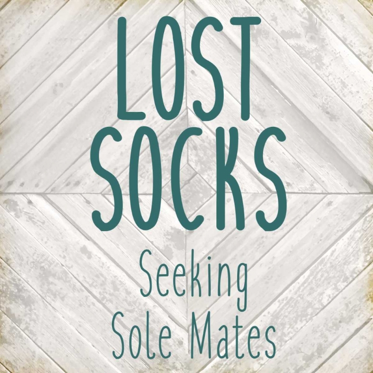 Picture of LOST SOCKS