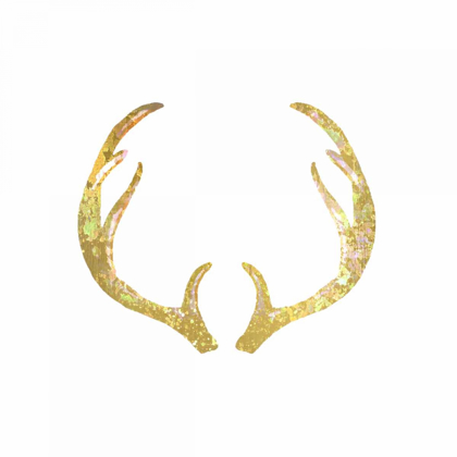 Picture of SPLATTER ANTLER 1