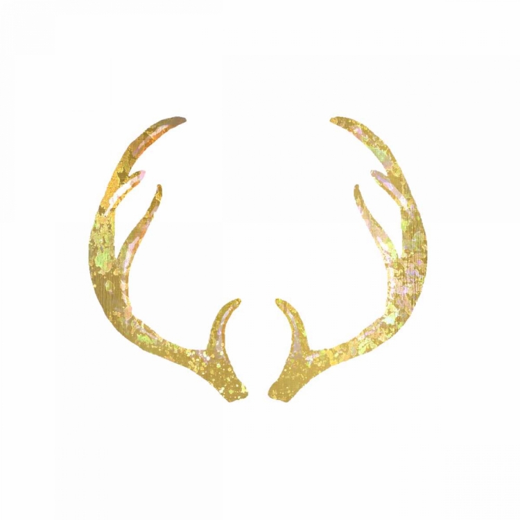 Picture of SPLATTER ANTLER 1