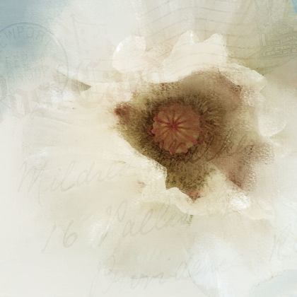 Picture of POSTCARD POPPY