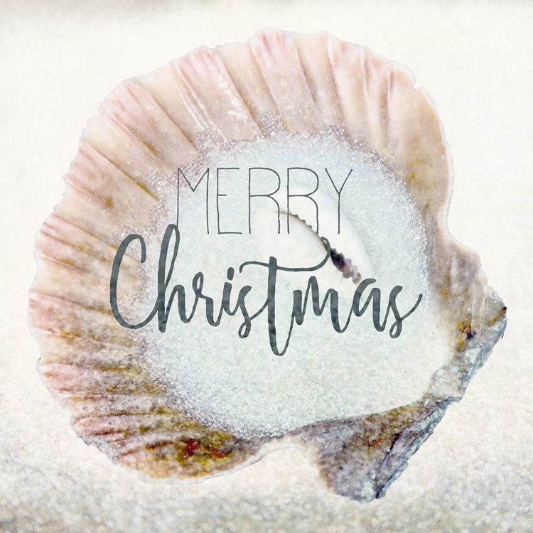 Picture of MERRY CHRISTMAS SHELL