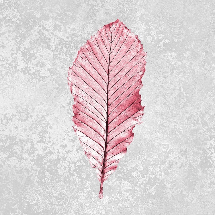 Picture of PINK LEAF 2