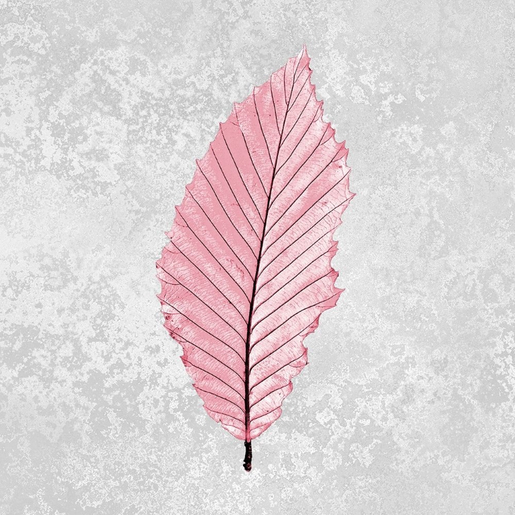 Picture of PINK LEAF 3