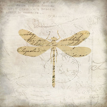 Picture of DRAGONFLY LETTERS 1