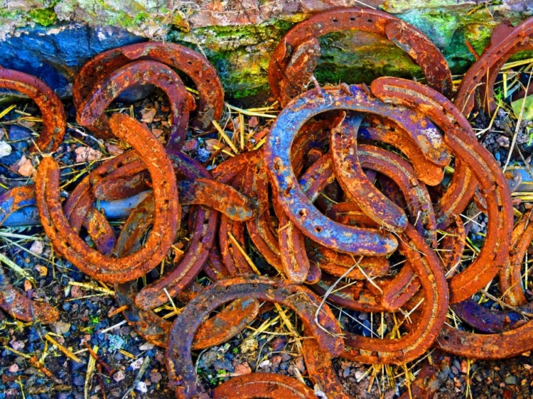 Picture of BRIGHT HORSE SHOES