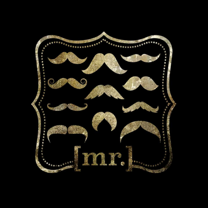 Picture of MUSTACHE GALORE