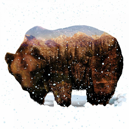 Picture of GRIZZLY WINTER