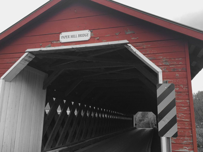 Picture of PAPER MILL BRIDGE