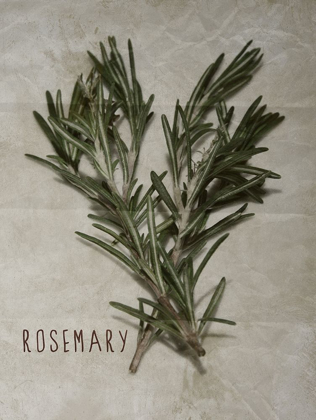 Picture of TIME-HONORED ROSEMARY 2
