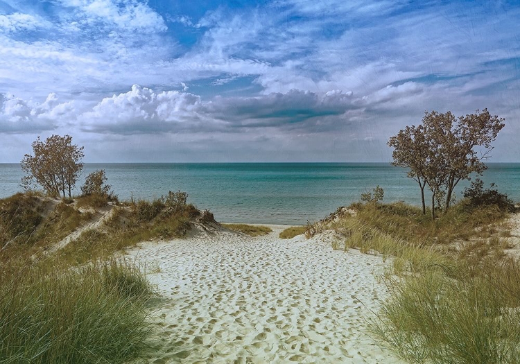 Picture of WELCOMING BEACH