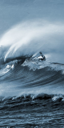 Picture of BRILLIANT SURF 1