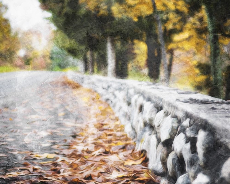 Picture of LEAVES ON THE ROAD