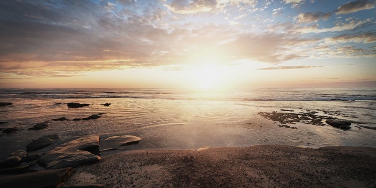 Picture of WALK ON THE BEACH