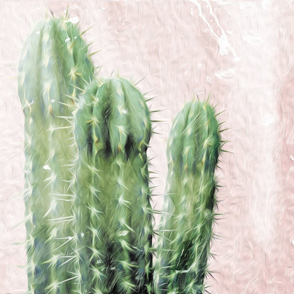 Picture of THREE CACTI