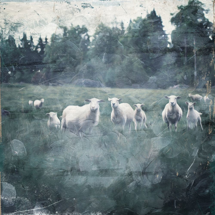 Picture of SHEEP LOOSE