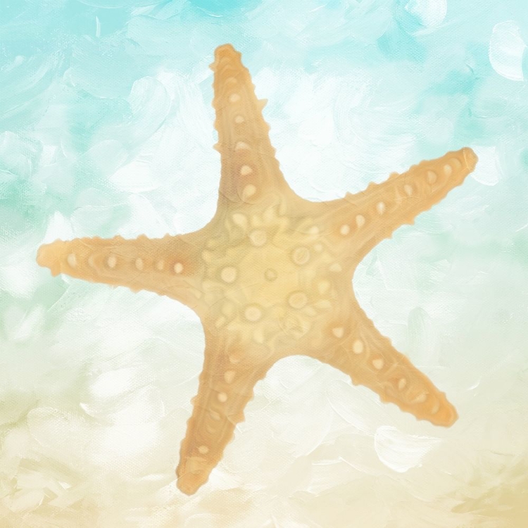 Picture of STAR ON THE BEACH