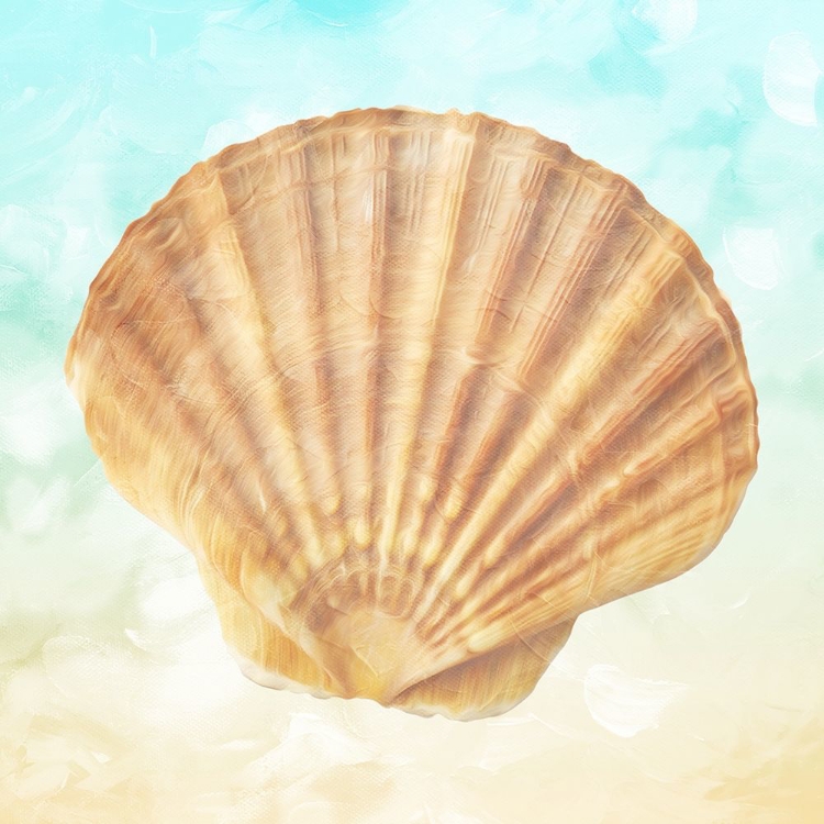 Picture of SHELL ON THE BEACH