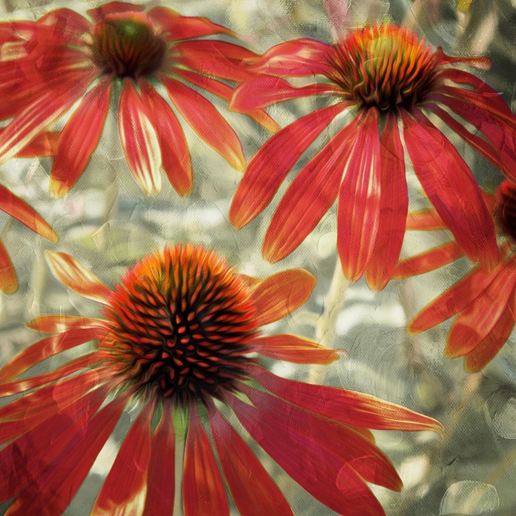 Picture of THREE FLOWER TOPS