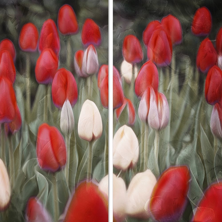 Picture of RED FLOWERS IN A GROUP