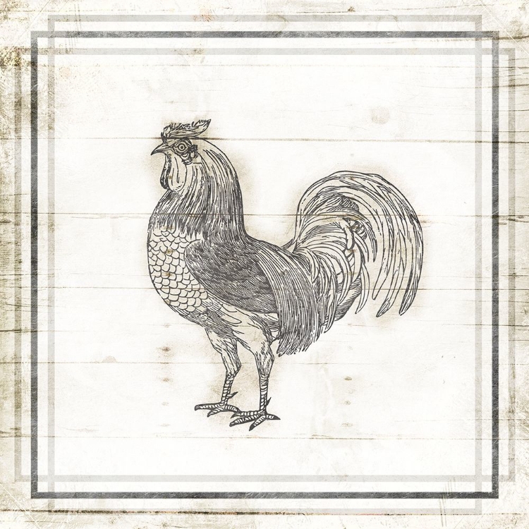 Picture of MODERN ROOSTER