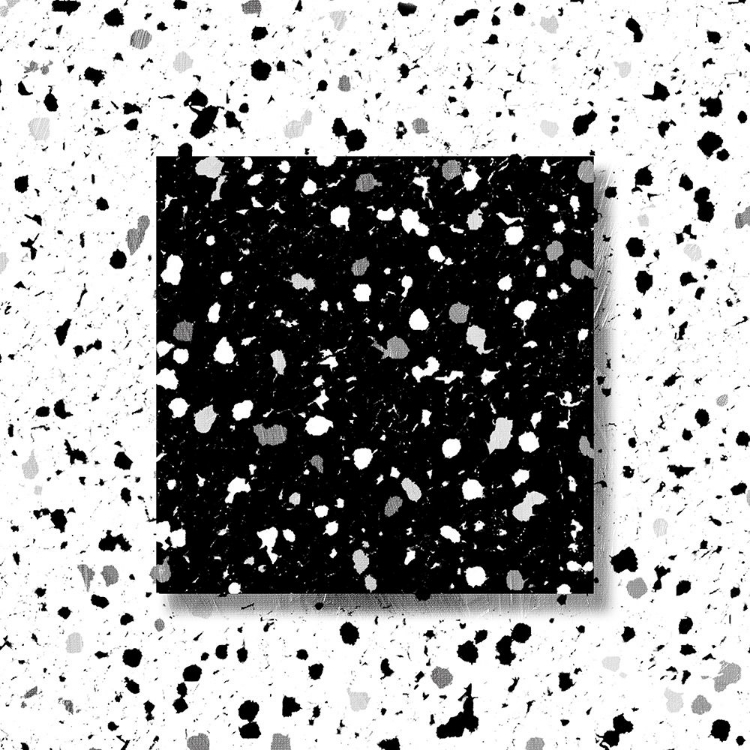 Picture of BLACK WHITE SPECKLES