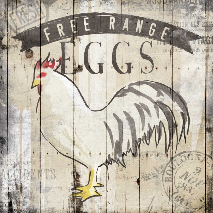 Picture of FREE RANGE EGGS