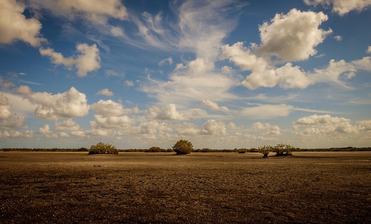 Picture of LONELY EARTH