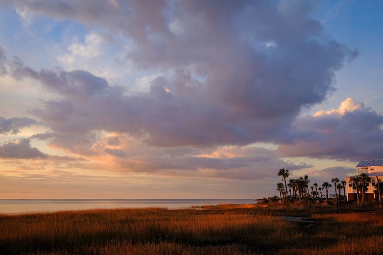 Picture of MARSH VIEW