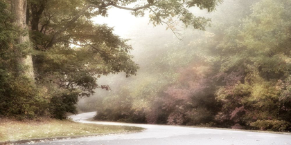 Picture of BLUE RIDGE PARKWAY