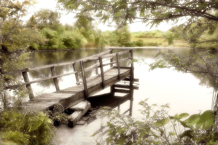 Picture of POND REFLECTIONS