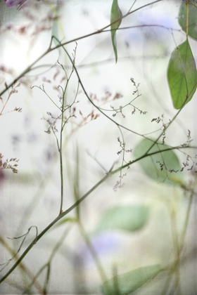 Picture of SOFT LEAVES I