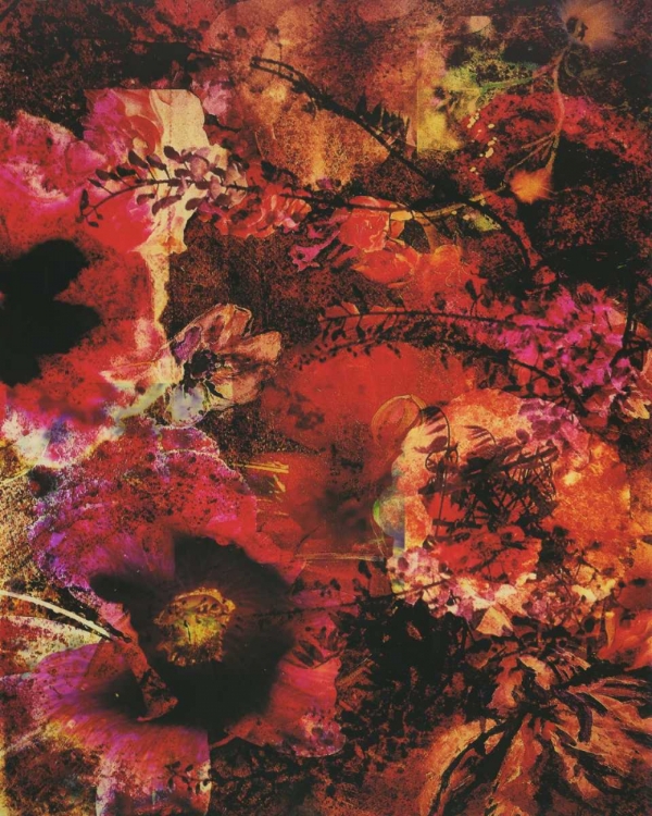 Picture of CRIMSON FLORALS