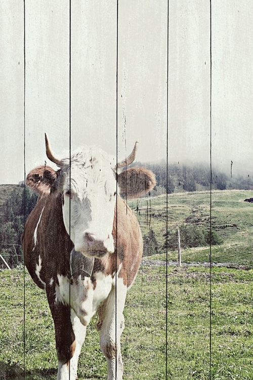 Picture of COUNTRY COW ON WOOD