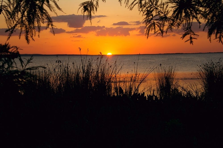 Picture of SUNSET SEASIDE