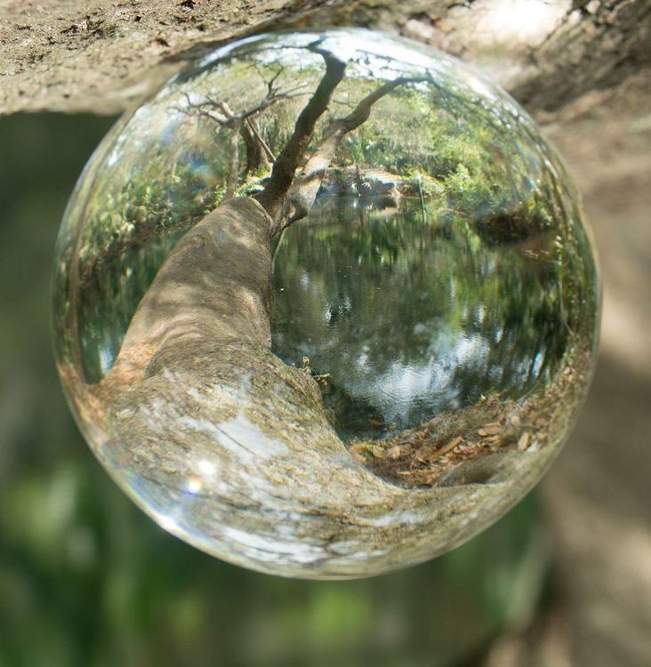 Picture of NATURE DROPLETS