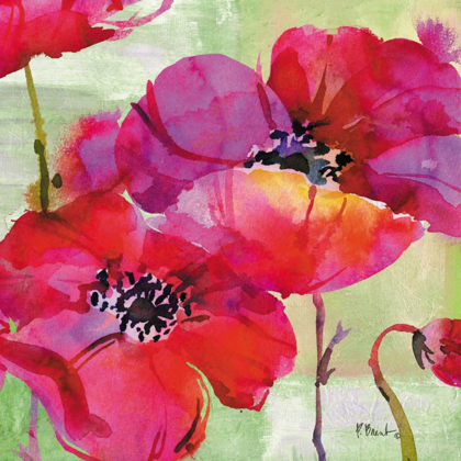 Picture of AMALFI POPPIES