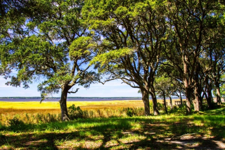 Picture of CAPE FEAR OVERLOOK