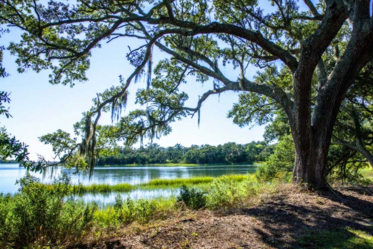 Picture of BRADLEY CREEK II