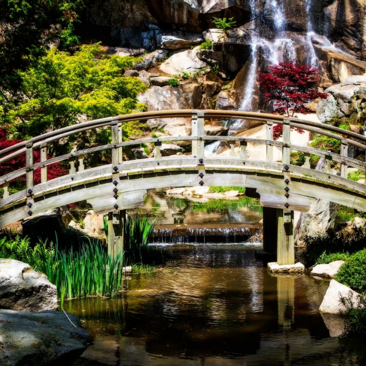 Picture of JAPANESE GARDEN V