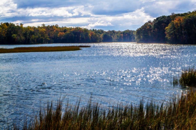 Picture of FELGATES CREEK I