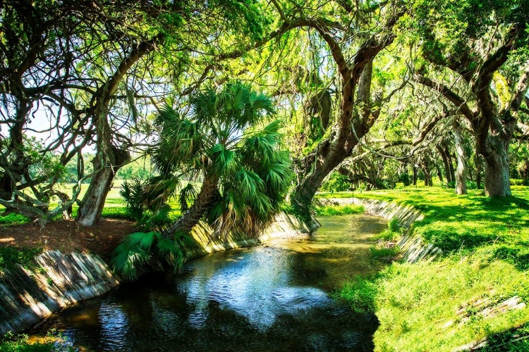 Picture of SAINT SIMONS WATERWAY