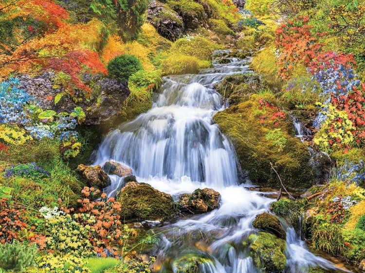 Picture of COUNTRY STREAM IN BLOOM